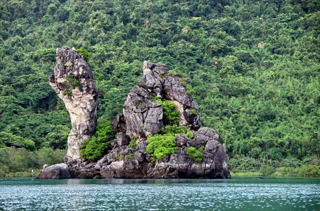 Bai Tu Long National Park – natural treasure ảnh 1 Bai Tu Long National Park – natural treasure ảnh 1