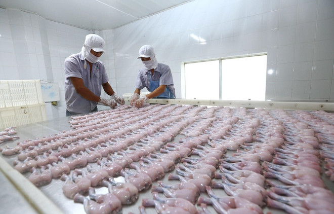 Vietnam-UK trade to benefit from EVFTA: Official ảnh 1