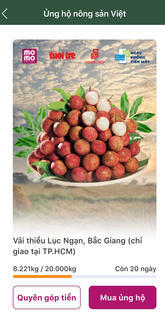 Record lychees sold via MoMo e-wallet ảnh 1 Record lychees sold via MoMo e-wallet ảnh 1