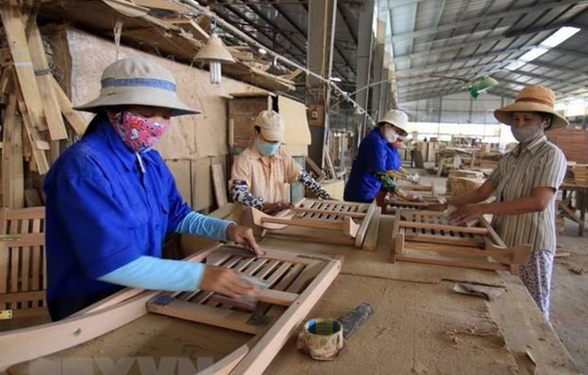 Wood and forestry exports plunge in second quarter ảnh 1