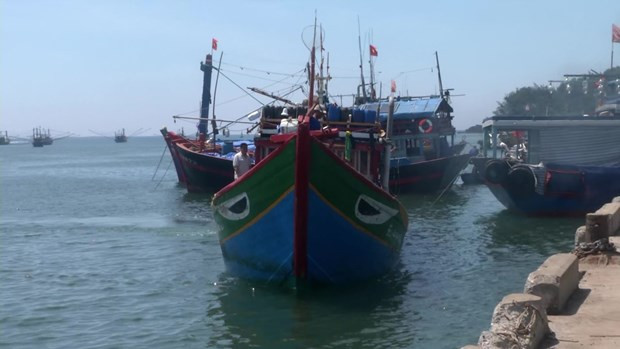 Vietnam requests China to investigate incident related to Vietnamese fishing vessel in Hoang Sa ảnh 1