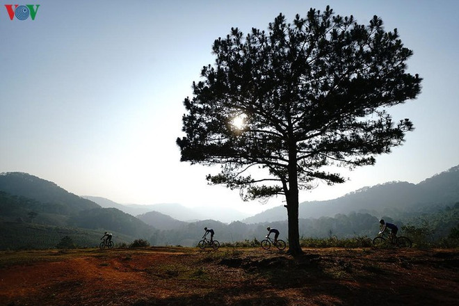 Dalat Ultra Trail 2020 opens ảnh 1 Dalat Ultra Trail 2020 opens ảnh 1