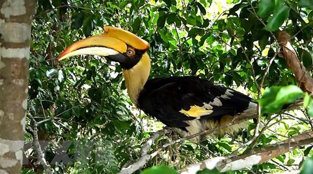 Organisation calls for end to commercial farming of endangered wildlife ảnh 1