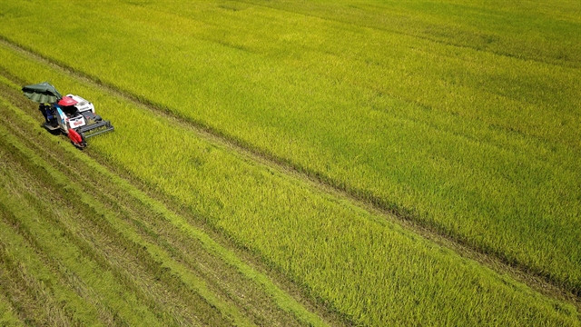 Vietnam’s agriculture to be world’s top 15 most developed ảnh 1