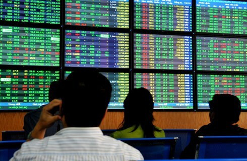 Reforms needed to attract foreign portfolio investment: fund manager ảnh 1