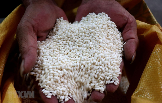 Ensuring food security becomes urgent: Minister ảnh 1