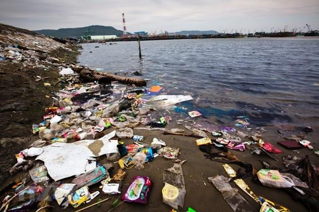 Tourism firms play rising role in stemming ocean plastic ảnh 1 Tourism firms play rising role in stemming ocean plastic ảnh 1
