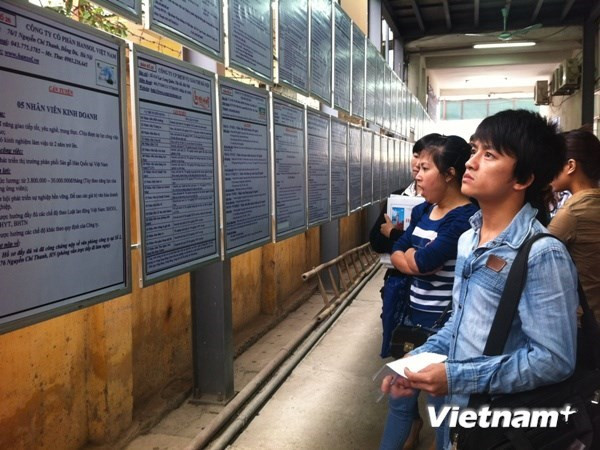 National employment programme reviewed ảnh 1