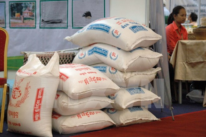 ADB forecasts robust Cambodian economic growth ảnh 1 ADB forecasts robust Cambodian economic growth ảnh 1