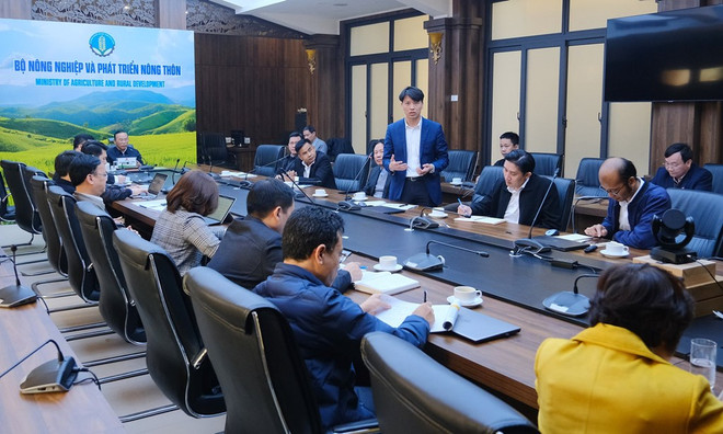 African swine fever vaccine to be circulated nationwide from February ảnh 1