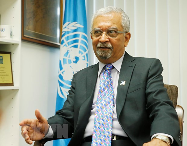 Election to UNSC opportunity for Vietnam to prove its capability: UN resident coordinator ảnh 1