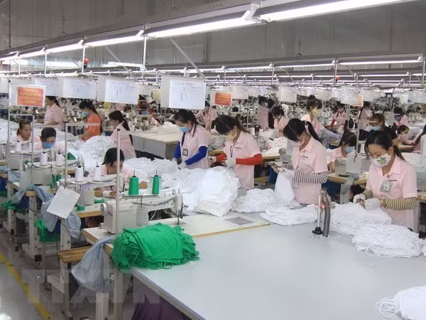 Number of new firms hit record high in five years ảnh 1
