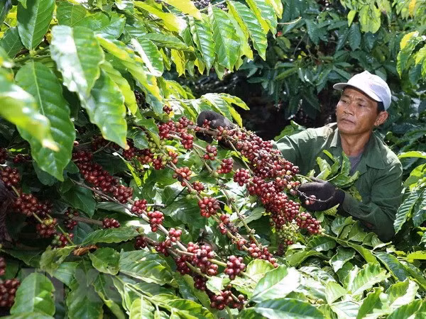 Bayer helps Vietnam develop high-tech agriculture ảnh 1
