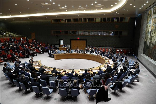 Vietnam well prepared for non-permanent seat at UNSC: Indonesian ambassador ảnh 1