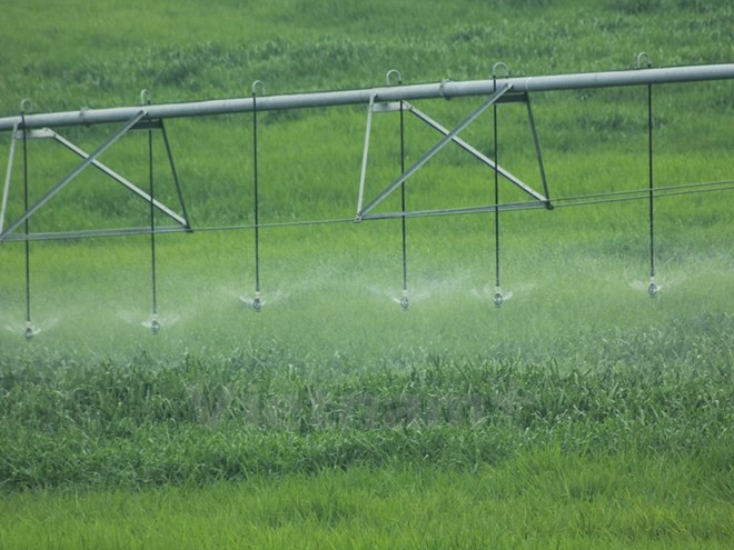  Report highlights structural transformation, growth in rural areas ảnh 1