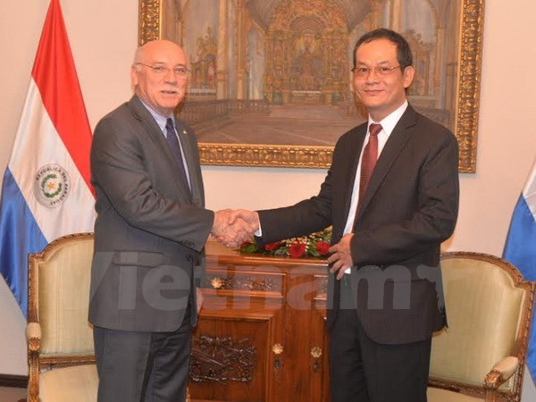 Vietnam, Paraguay mark 20th anniversary of diplomatic ties ảnh 1