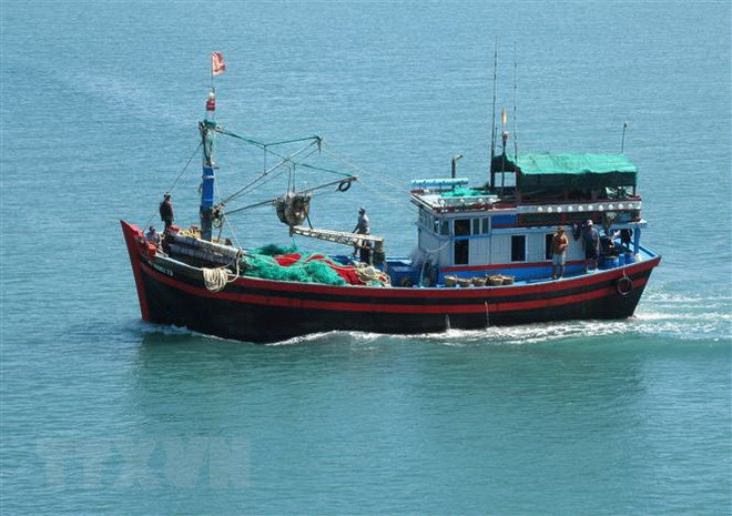 98.9 percent of fishing vessels in Ben Tre install monitoring devices ảnh 1