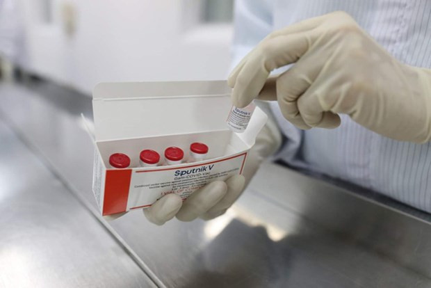 First Sputnik V vaccine batch successfully produced in Vietnam ảnh 1