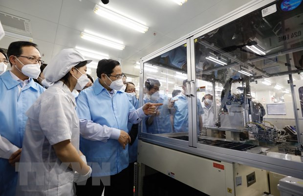 HCM City wants tax reduction for COVID-19 affected businesses ảnh 1