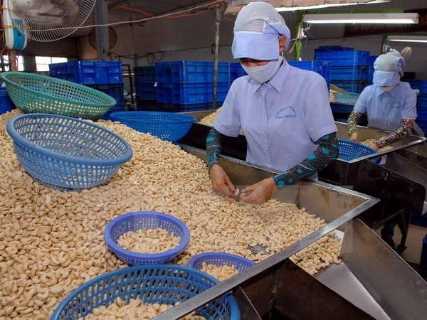 Vietnam’s exports to Cambodia up 16.7 percent in eight months ảnh 1