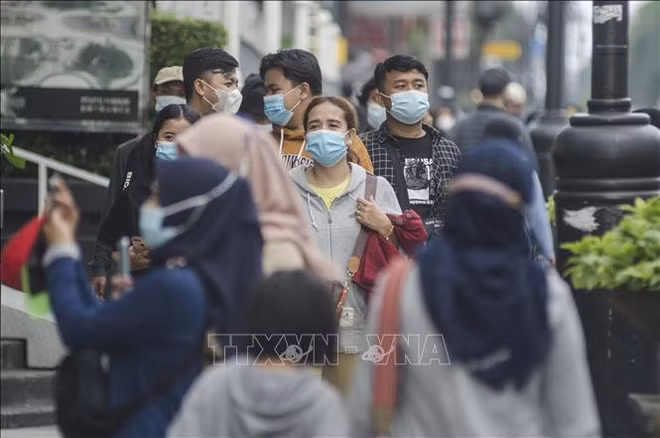 Indonesian President calls on people to prepare to live with COVID-19 ảnh 1