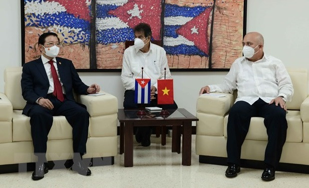 Vietnam, Cuba share experience in party building ảnh 1