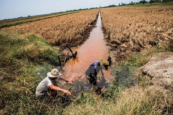 Drought impacts to be discussed at Mekong Delta forum ảnh 1 Drought impacts to be discussed at Mekong Delta forum ảnh 1