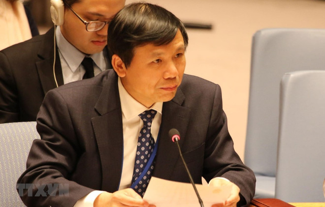 Vietnam backs international legal processes: ambassador ảnh 1