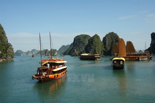 Ha Long, Cat Ba cooperate to improve environment ảnh 1 Ha Long, Cat Ba cooperate to improve environment ảnh 1
