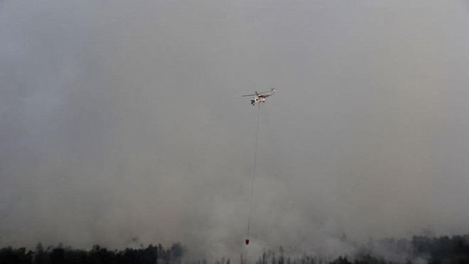 Indonesia moves to protect primary forests, peatland ảnh 1 Indonesia moves to protect primary forests, peatland ảnh 1
