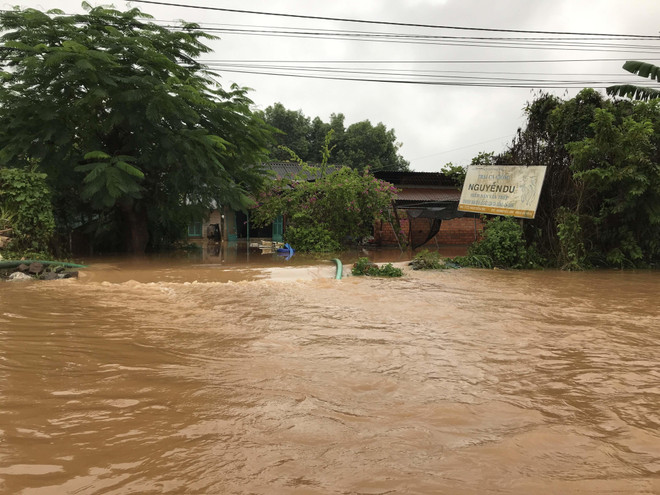 Floods take heavy toll on Central Highlands ảnh 1