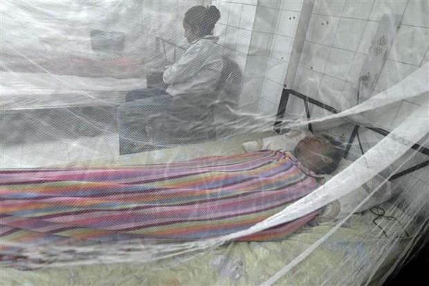 Philippines declares dengue outbreak as national epidemic ảnh 1 Philippines declares dengue outbreak as national epidemic ảnh 1