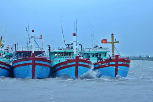 Minister orders careful preparation to brace for coming storm ảnh 1