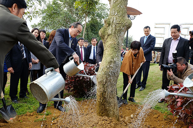 Programme greens Hoa Lac Hi-tech Park with trees ảnh 1