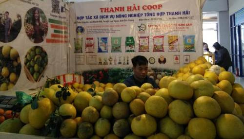 Local staples offered at Hanoi’s spring fair 2019 ảnh 1 Local staples offered at Hanoi’s spring fair 2019 ảnh 1