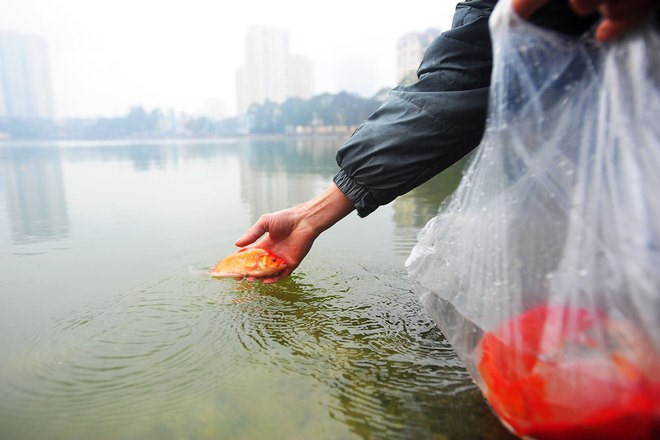 Lunar New Year – biggest traditional holiday in Vietnam ảnh 1 Lunar New Year – biggest traditional holiday in Vietnam ảnh 1