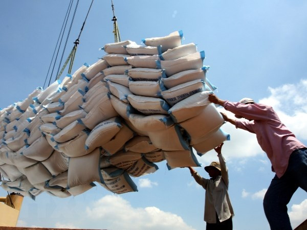  Q1 rice export outlook remains promising ảnh 1