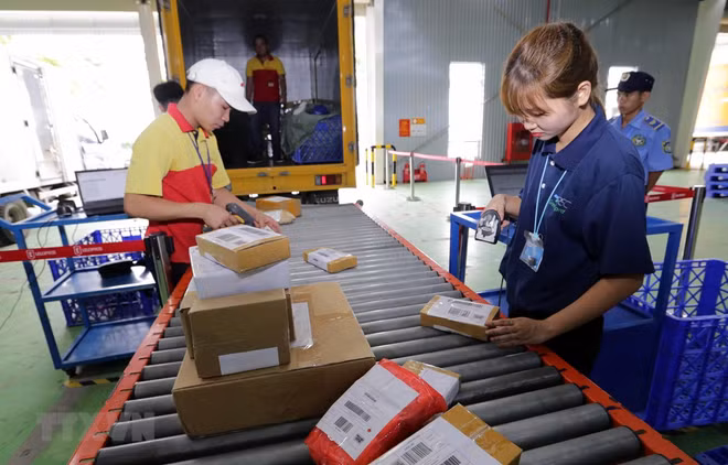 Bright future tipped for Vietnam’s e-commerce market ảnh 1