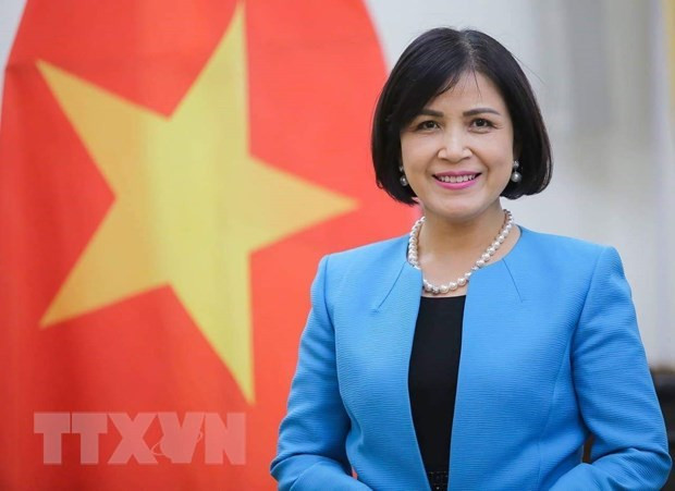 Vietnam lauds India’s growth at WTO trade review ảnh 1