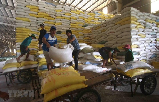 Vietnam to export 1,600 tonnes of rice at high price to Singapore, Malaysia ảnh 1 Vietnam to export 1,600 tonnes of rice at high price to Singapore, Malaysia ảnh 1