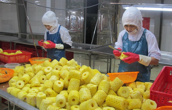Vietnamese firms strive to revitalise agricultural exports to China ảnh 1