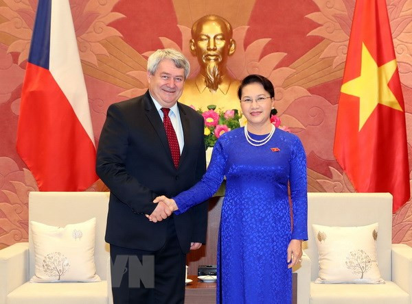 NA Chairwoman hosts Czech Republic parliament leader ảnh 1