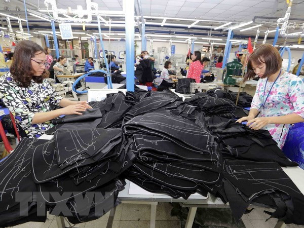 Vietnamese garment sector maintains growth in traditional markets ảnh 1