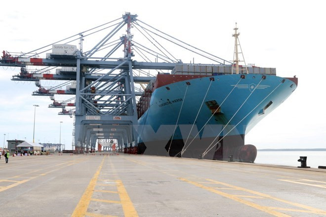Vietnam National Shipping Lines to hold IPO in August ảnh 1