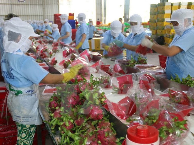 Ministry optimistic about fruit-veggie export prospects ảnh 1