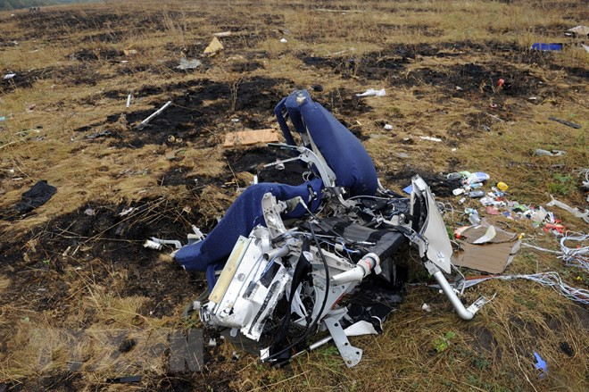 Malaysia: No conclusive evidence against Russia in MH17 downing ảnh 1