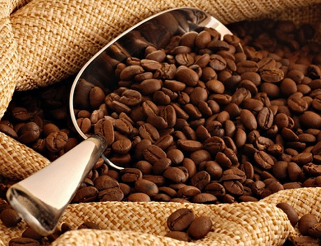 Indonesia promotes coffee exports to Qatar ảnh 1