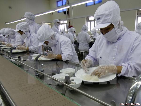 Swiftlet farming looks towards sustainable development ảnh 1 Swiftlet farming looks towards sustainable development ảnh 1