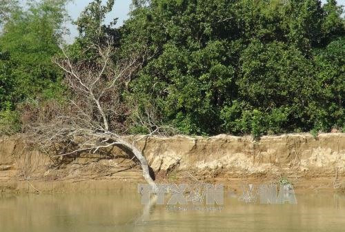 Khanh Hoa: More than 25 million USD for flooding, erosion prevention ảnh 1