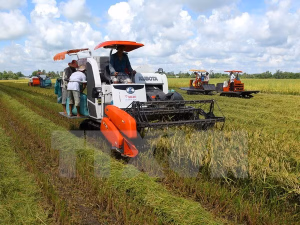 Almost one third of communes recognised as new-style rural areas ảnh 1